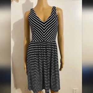 Ann Taylor Loft Striped Skater Dress